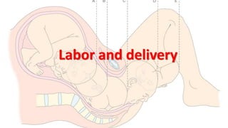 Labor and delivery
 