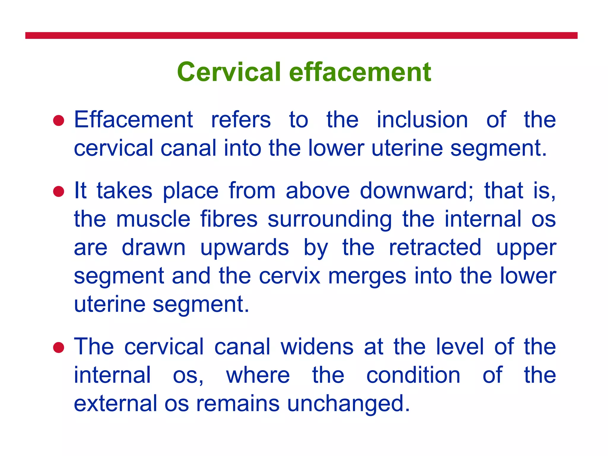 Cervical effacement
 Effacement refers to the inclusion of the
cervical canal into the lower uterine segment.
 It takes place from above downward; that is,
the muscle fibres surrounding the internal os
are drawn upwards by the retracted upper
segment and the cervix merges into the lower
uterine segment.
 The cervical canal widens at the level of the
internal os, where the condition of the
external os remains unchanged.
 