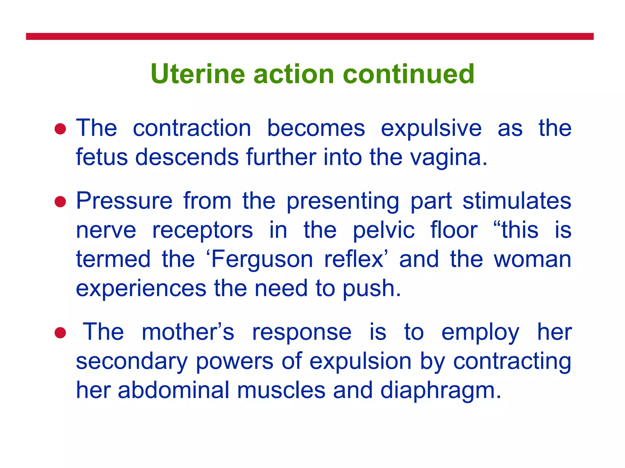 Uterine action continued
 The contraction becomes expulsive as the
fetus descends further into the vagina.
 Pressure from the presenting part stimulates
nerve receptors in the pelvic floor ―this is
termed the ‗Ferguson reflex‘ and the woman
experiences the need to push.
 The mother‘s response is to employ her
secondary powers of expulsion by contracting
her abdominal muscles and diaphragm.
 