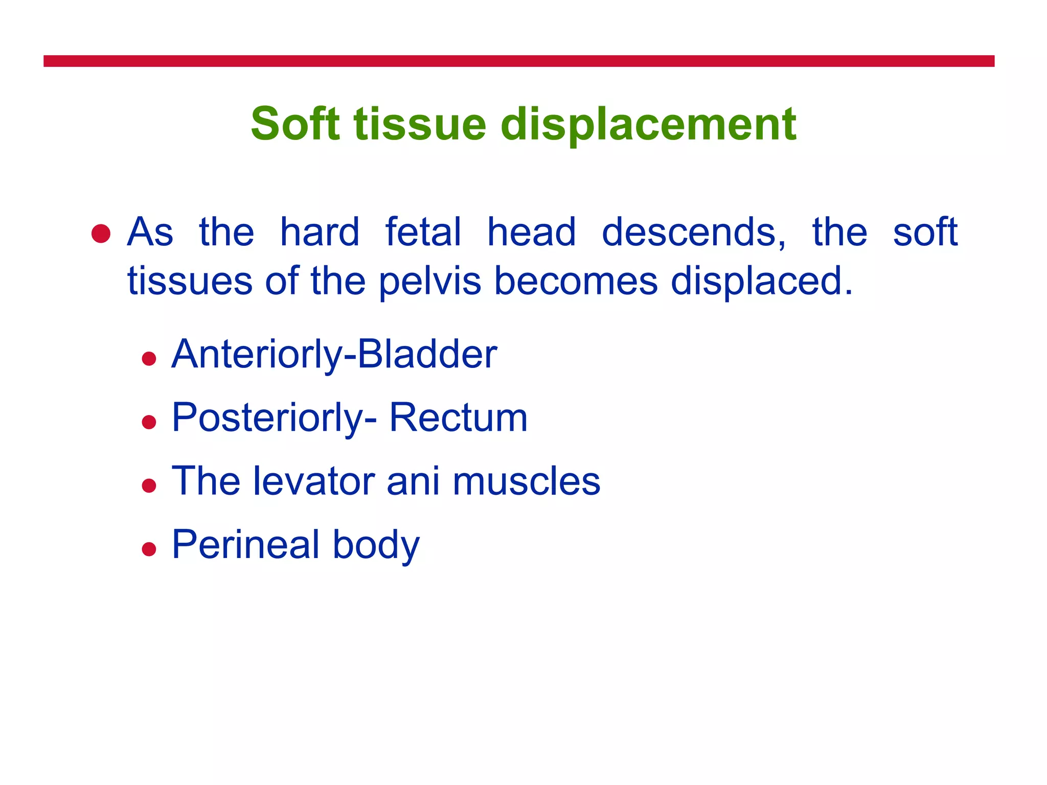 Soft tissue displacement
 As the hard fetal head descends, the soft
tissues of the pelvis becomes displaced.
 Anteriorly-Bladder
 Posteriorly- Rectum
 The levator ani muscles
 Perineal body
 