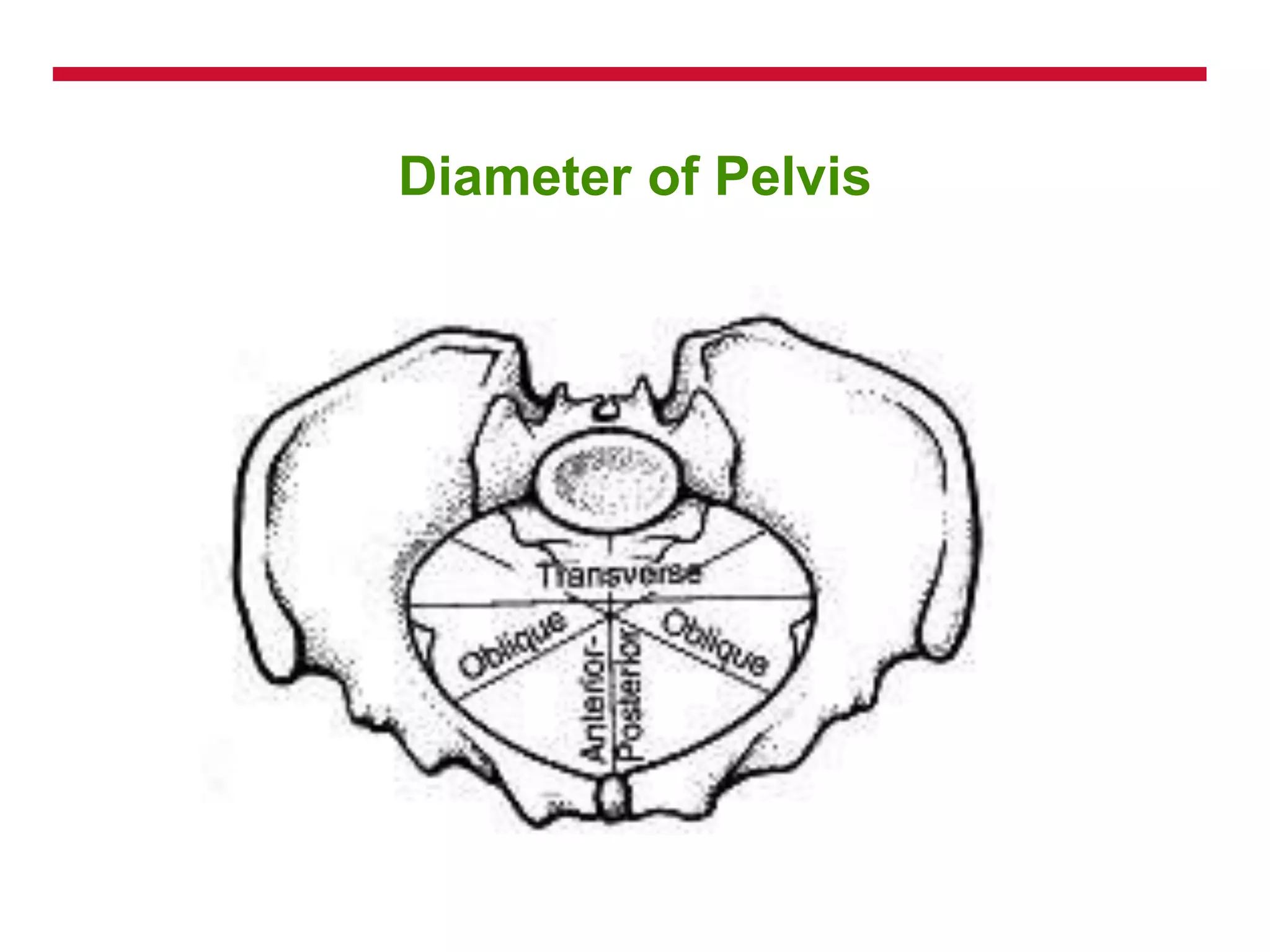 Diameter of Pelvis
 