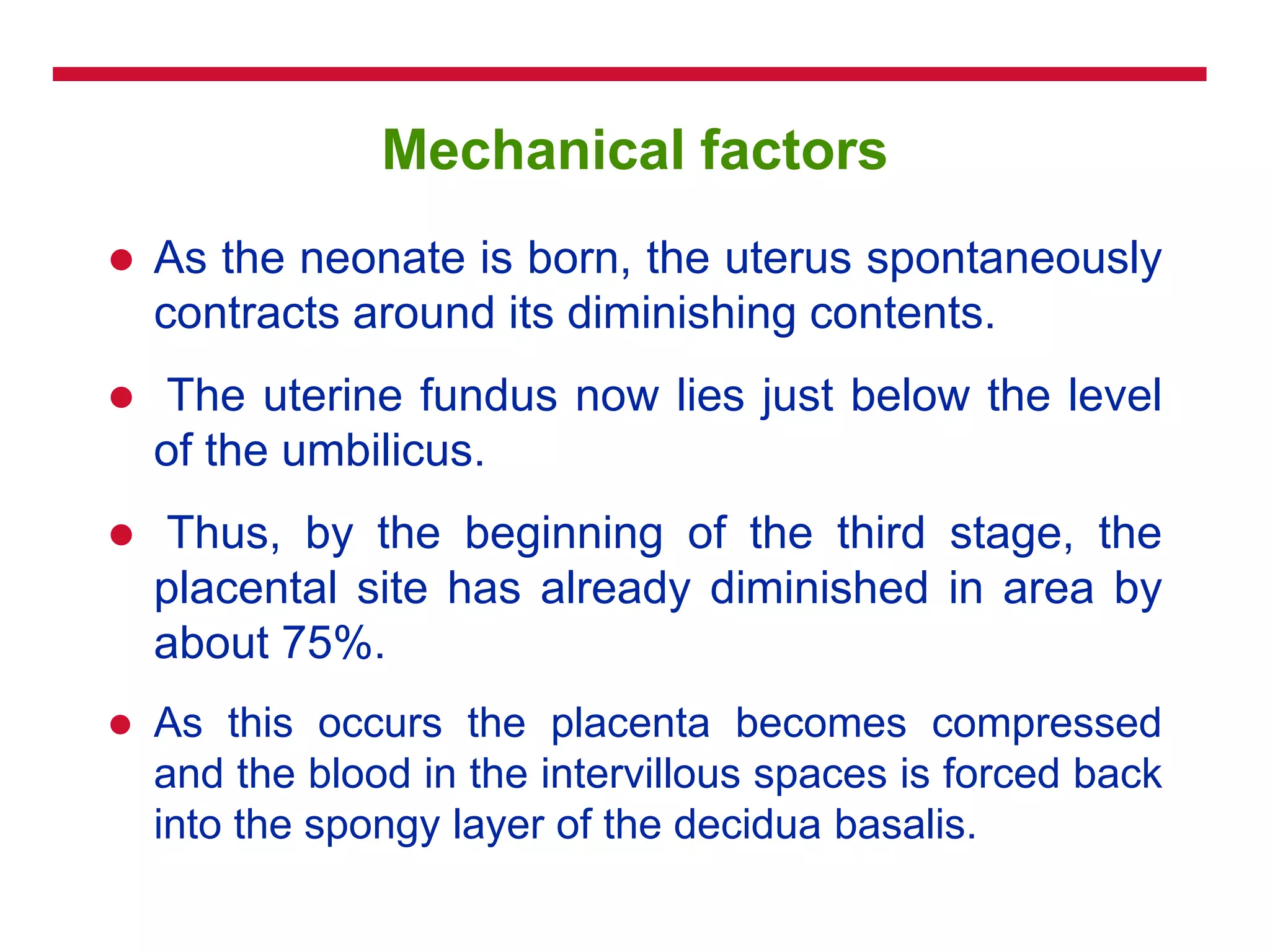 Mechanical factors
 As the neonate is born, the uterus spontaneously
contracts around its diminishing contents.
 The uterine fundus now lies just below the level
of the umbilicus.
 Thus, by the beginning of the third stage, the
placental site has already diminished in area by
about 75%.
 As this occurs the placenta becomes compressed
and the blood in the intervillous spaces is forced back
into the spongy layer of the decidua basalis.
 