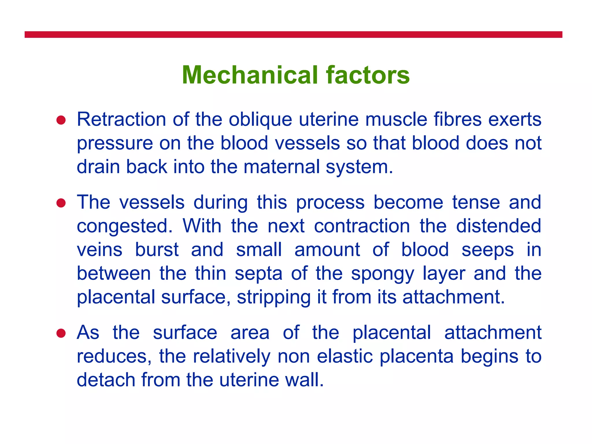 Mechanical factors
 Retraction of the oblique uterine muscle fibres exerts
pressure on the blood vessels so that blood does not
drain back into the maternal system.
 The vessels during this process become tense and
congested. With the next contraction the distended
veins burst and small amount of blood seeps in
between the thin septa of the spongy layer and the
placental surface, stripping it from its attachment.
 As the surface area of the placental attachment
reduces, the relatively non elastic placenta begins to
detach from the uterine wall.
 