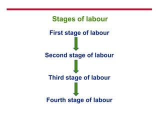 Labour and its stages | PPTX