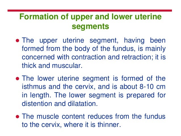 Labour and its stages