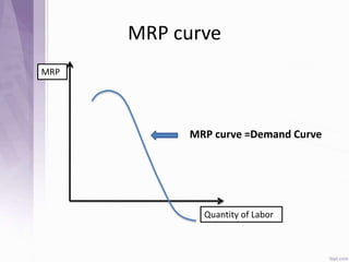 MRP curve
MRP
Quantity of Labor
MRP curve =Demand Curve
 