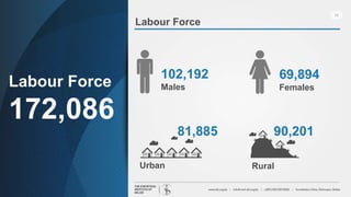 12
Labour Force
Labour Force
172,086
102,192
Males
69,894
Females
Rural
90,201
Urban
81,885
 