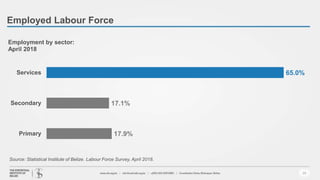 Employed Labour Force
14
17.9%
17.1%
65.0%
Primary
Secondary
Services
Employment by sector:
April 2018
Source: Statistical Institute of Belize. Labour Force Survey, April 2018.
 
