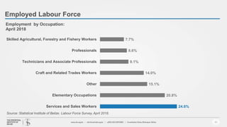 Employed Labour Force
15
24.6%
20.8%
15.1%
14.0%
9.1%
8.6%
7.7%
Services and Sales Workers
Elementary Occupations
Other
Craft and Related Trades Workers
Technicians and Associate Professionals
Professionals
Skilled Agricultural, Forestry and Fishery Workers
Employment by Occupation:
April 2018
Source: Statistical Institute of Belize. Labour Force Survey, April 2018.
 