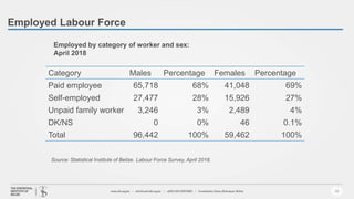 Employed Labour Force
18
Source: Statistical Institute of Belize. Labour Force Survey, April 2018.
Category Males Percentage Females Percentage
Paid employee 65,718 68% 41,048 69%
Self-employed 27,477 28% 15,926 27%
Unpaid family worker 3,246 3% 2,489 4%
DK/NS 0 0% 46 0.1%
Total 96,442 100% 59,462 100%
Employed by category of worker and sex:
April 2018
 
