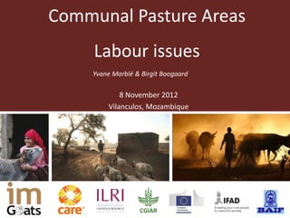 Communal Pasture Areas
     Labour issues
    Yvane Marblé & Birgit Boogaard

            8 November 2012
        Vilanculos, Mozambique
 