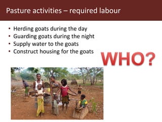 Communal pasture areas: Labour issues