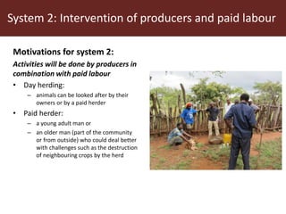 Communal pasture areas: Labour issues