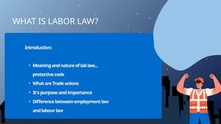 Labour law 2 (nature, classification, etc.) (1).pptx