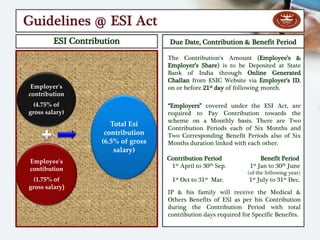 ESI Contribution
Employer's
contribution
(4.75% of
gross salary)
Employee's
contibution
(1.75% of
gross salary)
Total Esi
contribution
(6.5% of gross
salary)
Due Date, Contribution & Benefit Period
The Contribution’s Amount (Employee’s &
Employer’s Share) is to be Deposited at State
Bank of India through Online Generated
Challan from ESIC Website via Employer’s ID,
on or before 21st day of following month.
“Employers” covered under the ESI Act, are
required to Pay Contribution towards the
scheme on a Monthly basis. There are Two
Contribution Periods each of Six Months and
Two Corresponding Benefit Periods also of Six
Months duration linked with each other.
Contribution Period Benefit Period
1st April to 30th Sep. 1st Jan to 30th June
(of the following year)
1st Oct to 31st Mar. 1st July to 31st Dec.
IP & his family will receive the Medical &
Others Benefits of ESI as per his Contribution
during the Contribution Period with total
contribution days required for Specific Benefits.
 
