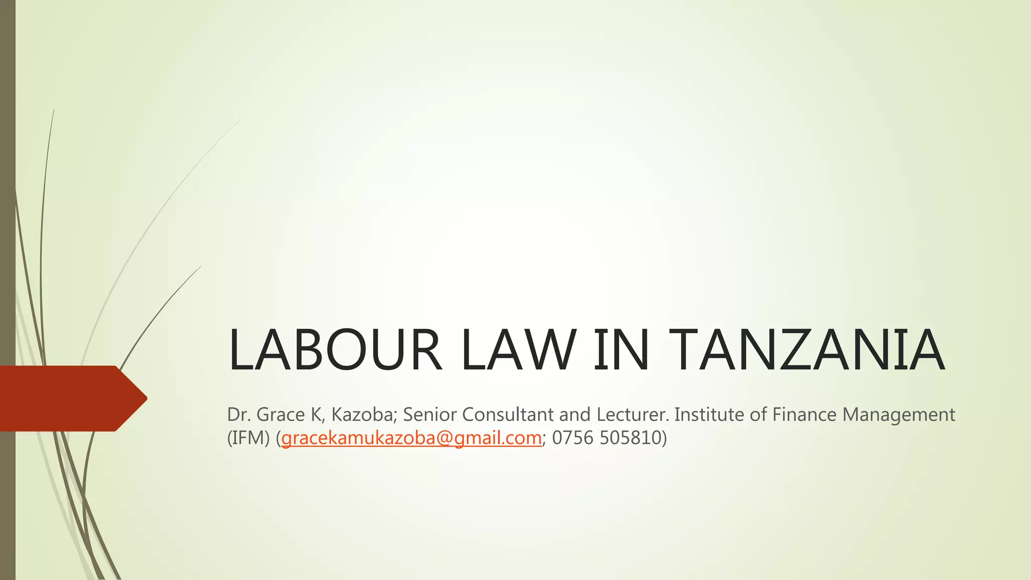 Labour law in tanzania for foreiner investor and employers pptx