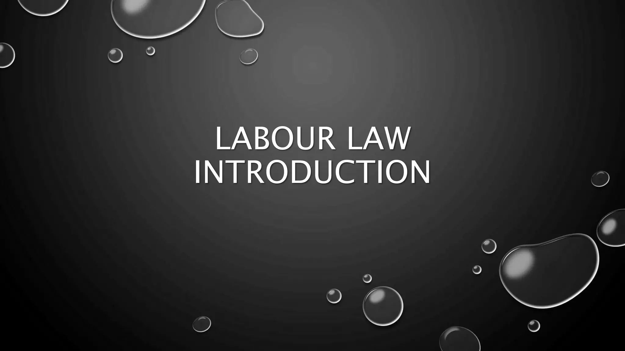 Labour Law Introduction Chapter 28 1 Ppt