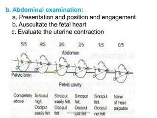 b. Abdominal examination:
a. Presentation and position and engagement
b. Auscultate the fetal heart
c. Evaluate the uterin...