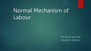 Normal Mechanism of
Labour
DR BISMA AKHTAR
RESIDENT OBGYN
 