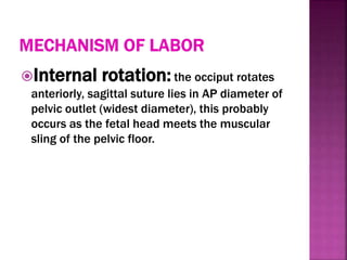Mechanism of labour | PPT