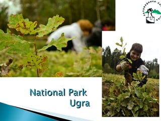National Park  Ugra 