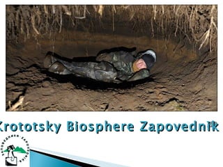 Krototsky Biosphere Zapovednik 