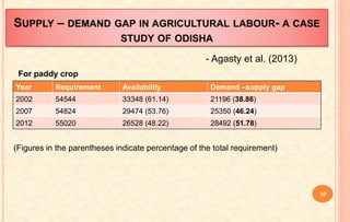 SUPPLY – DEMAND GAP IN AGRICULTURAL LABOUR- A CASE
STUDY OF ODISHA
Year Requirement Availability Demand –supply gap
2002 54544 33348 (61.14) 21196 (38.86)
2007 54824 29474 (53.76) 25350 (46.24)
2012 55020 26528 (48.22) 28492 (51.78)
(Figures in the parentheses indicate percentage of the total requirement)
- Agasty et al. (2013)
For paddy crop
10
 