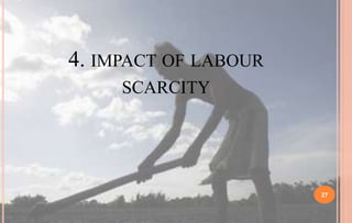 4. IMPACT OF LABOUR
SCARCITY
27
 