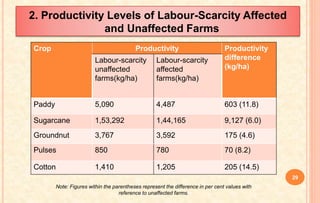 2. Productivity Levels of Labour-Scarcity Affected
and Unaffected Farms
29
Crop Productivity Productivity
difference
(kg/ha)
Labour-scarcity
unaffected
farms(kg/ha)
Labour-scarcity
affected
farms(kg/ha)
Paddy 5,090 4,487 603 (11.8)
Sugarcane 1,53,292 1,44,165 9,127 (6.0)
Groundnut 3,767 3,592 175 (4.6)
Pulses 850 780 70 (8.2)
Cotton 1,410 1,205 205 (14.5)
Note: Figures within the parentheses represent the difference in per cent values with
reference to unaffected farms.
 