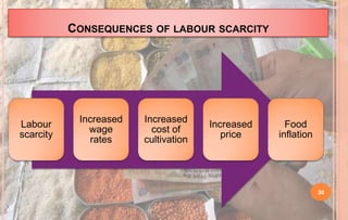 CONSEQUENCES OF LABOUR SCARCITY
Labour
scarcity
Increased
wage
rates
Increased
cost of
cultivation
Increased
price
Food
inflation
30
 