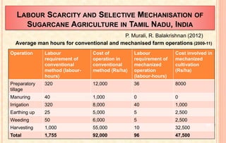 LABOUR SCARCITY AND SELECTIVE MECHANISATION OF
SUGARCANE AGRICULTURE IN TAMIL NADU, INDIA
Operation Labour
requirement of
conventional
method (labour-
hours)
Cost of
operation in
conventional
method (Rs/ha)
Labour
requirement of
mechanized
operation
(labour-hours)
Cost involved in
mechanized
cultivation
(Rs/ha)
Preparatory
tillage
320 12,000 36 8000
Manuring 40 1,000 0 0
Irrigation 320 8,000 40 1,000
Earthing up 25 5,000 5 2,500
Weeding 50 6,000 5 2,500
Harvesting 1,000 55,000 10 32,500
Total 1,755 92,000 96 47,500
P. Murali, R. Balakrishnan (2012)
Average man hours for conventional and mechanised farm operations (2009-11)
50
 