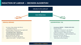 Nhs Labour Algorithm Image Labour_presentation_and it's stages_Seminar_Complete.pptx