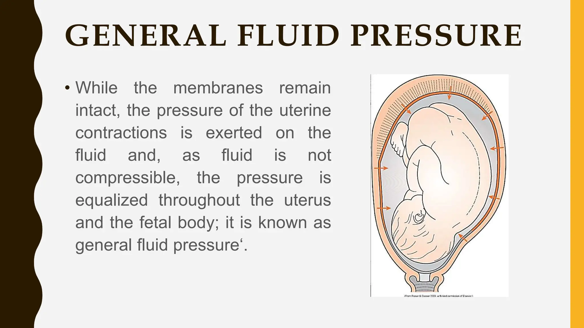 GENERAL FLUID PRESSURE
• While the membranes remain
intact, the pressure of the uterine
contractions is exerted on the
fluid and, as fluid is not
compressible, the pressure is
equalized throughout the uterus
and the fetal body; it is known as
general fluid pressure‘.
 