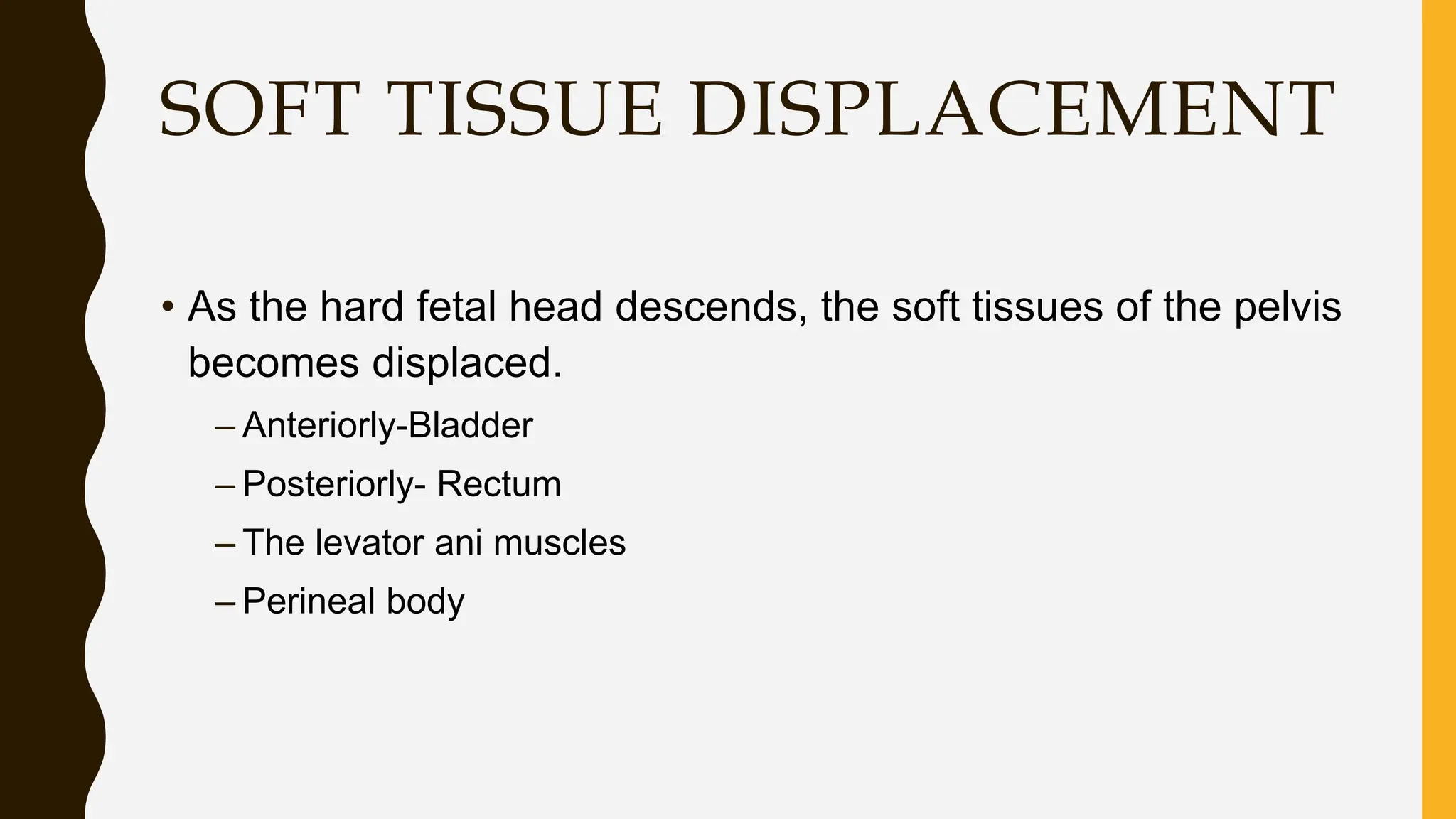 SOFT TISSUE DISPLACEMENT
• As the hard fetal head descends, the soft tissues of the pelvis
becomes displaced.
– Anteriorly-Bladder
– Posteriorly- Rectum
– The levator ani muscles
– Perineal body
 