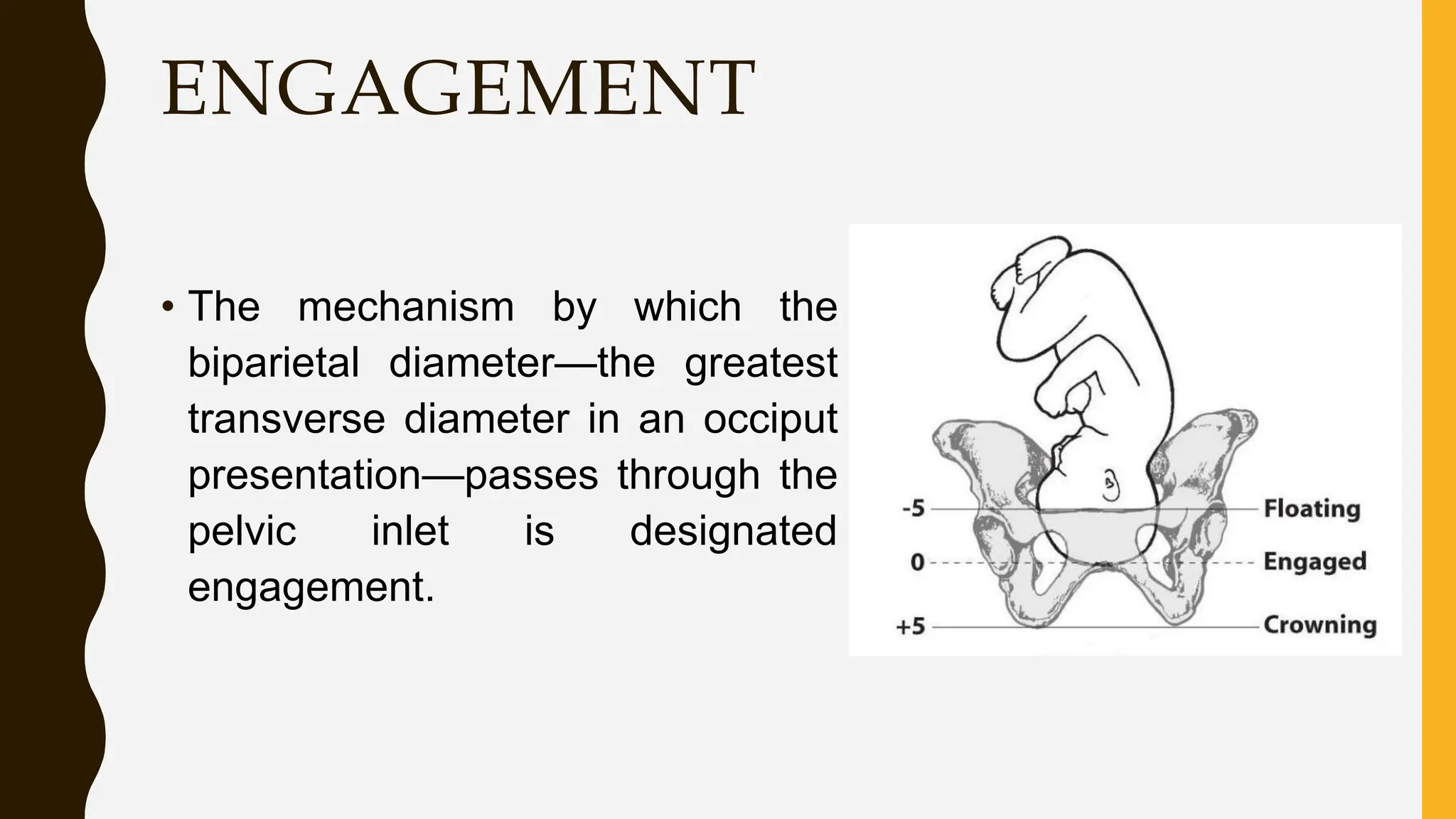 ENGAGEMENT
• The mechanism by which the
biparietal diameter—the greatest
transverse diameter in an occiput
presentation—passes through the
pelvic inlet is designated
engagement.
 