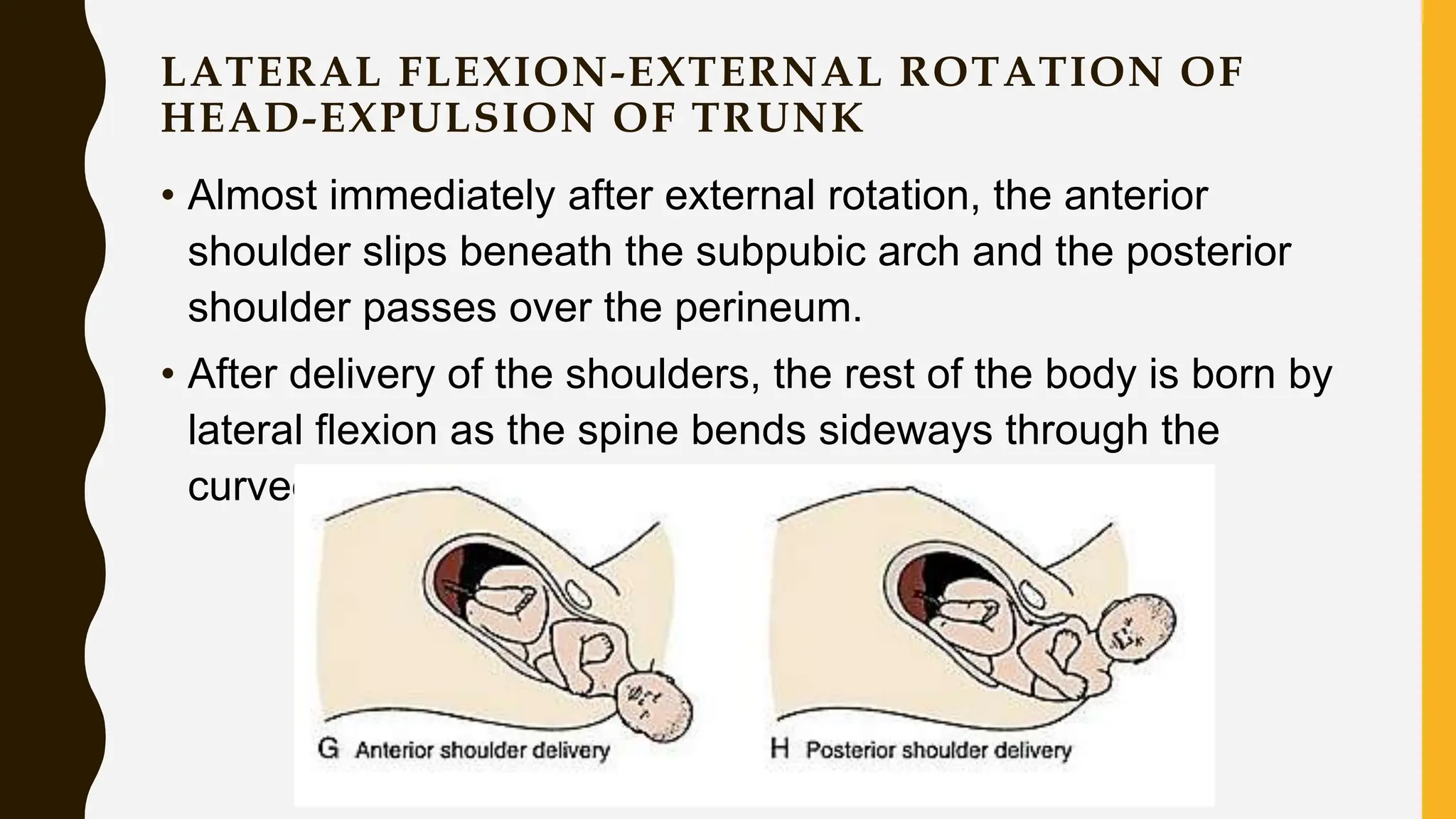 LATERAL FLEXION-EXTERNAL ROTATION OF
HEAD-EXPULSION OF TRUNK
• Almost immediately after external rotation, the anterior
shoulder slips beneath the subpubic arch and the posterior
shoulder passes over the perineum.
• After delivery of the shoulders, the rest of the body is born by
lateral flexion as the spine bends sideways through the
curved birth canal.
 