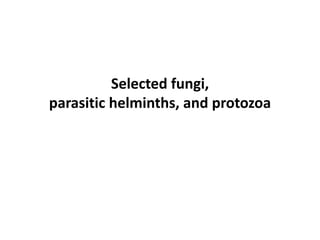 Selected fungi,
parasitic helminths, and protozoa
 