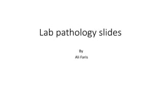 Lab pathology slides
By
Ali Faris
 
