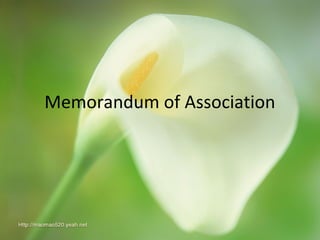 Memorandum of Association
 