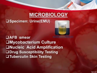 MICROBIOLOGY
Specimen: Urine(EMU)
AFB smear
Mycobacterium Culture
Nucleic Acid Amplification
Drug Susceptibility Testing
Tuberculin Skin Testing
www.labroutine.com
 
