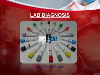 LAB DIAGNOSIS
www.labdiagnosistml.com
 