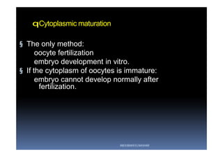 qCytoplasmic maturation
§ The only method:
oocyte fertilization
embryo development in vitro.
§ If the cytoplasm of oocytes is immature:
embryo cannot develop normally after
fertilization.
ABOUBAKR ELNASHAR
 