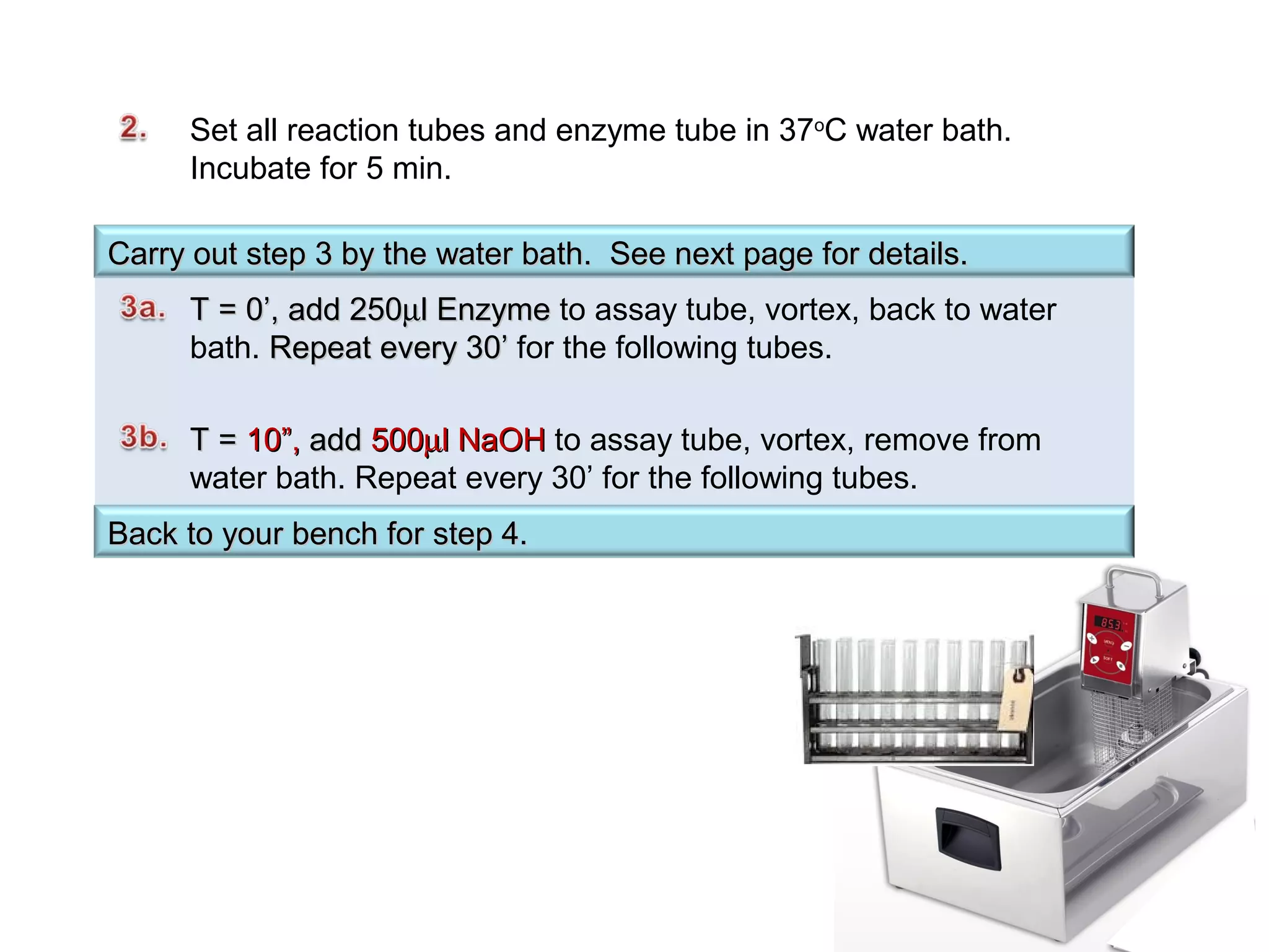 Lab protocol exp 6 | PPT