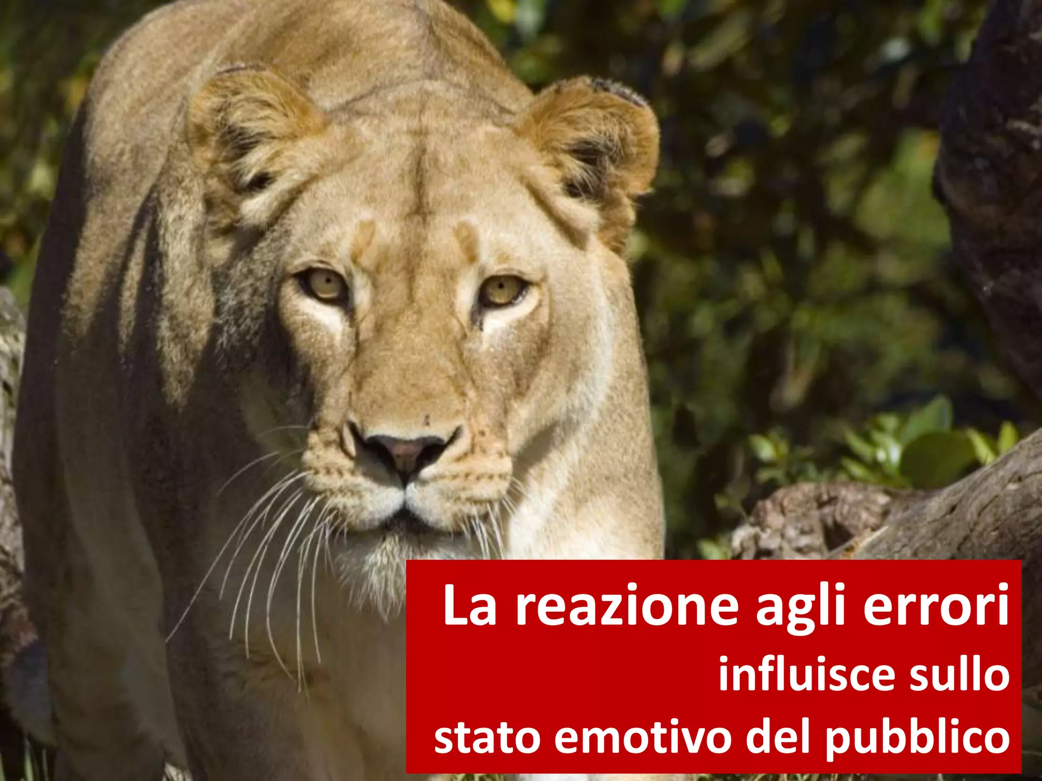 La reazione agli errori
influisce sullo
stato emotivo del pubblico
 