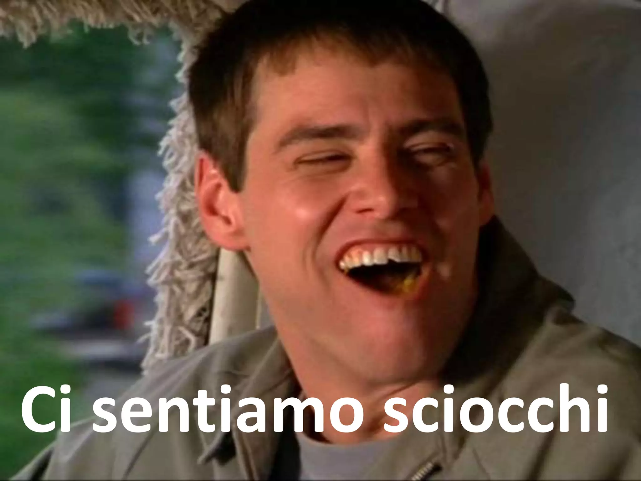 Ci sentiamo sciocchi
 