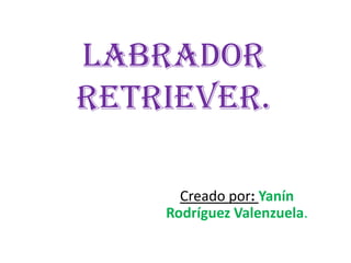 LABRADOR
Retriever.

      Creado por: Yanín
    Rodríguez Valenzuela.
 