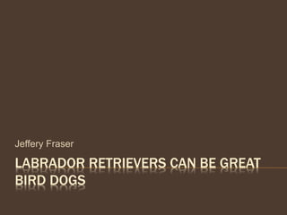 LABRADOR RETRIEVERS CAN BE GREAT
BIRD DOGS
Jeffery Fraser
 