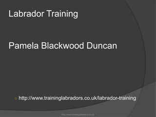 Labrador TrainingPamela Blackwood Duncan http://www.traininglabradors.co.uk http://www.traininglabradors.co.uk/labrador-training 