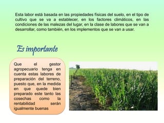 Esta labor está basada en las propiedades físicas del suelo, en el tipo de
cultivo que se va a establecer, en los factores climáticos, en las
condiciones de las malezas del lugar, en la clase de labores que se van a
desarrollar, como también, en los implementos que se van a usar.
Es importante
Que el gestor
agropecuario tenga en
cuenta estas labores de
preparación del terreno,
puesto que, en la medida
en que quede bien
preparado este tanto las
cosechas como la
rentabilidad serán
igualmente buenas
 
