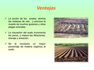  La acción de los arados, elimina
las malezas de raíz , y provoca la
muerte de muchos gusanos y otras
plagas animales.
 La roturación del suelo incrementa
los poros, y mejora las filtraciones,
drenaje y aireación.
 Se le incorpora un mayor
porcentaje de materia orgánica al
suelo.
Ventajas
 